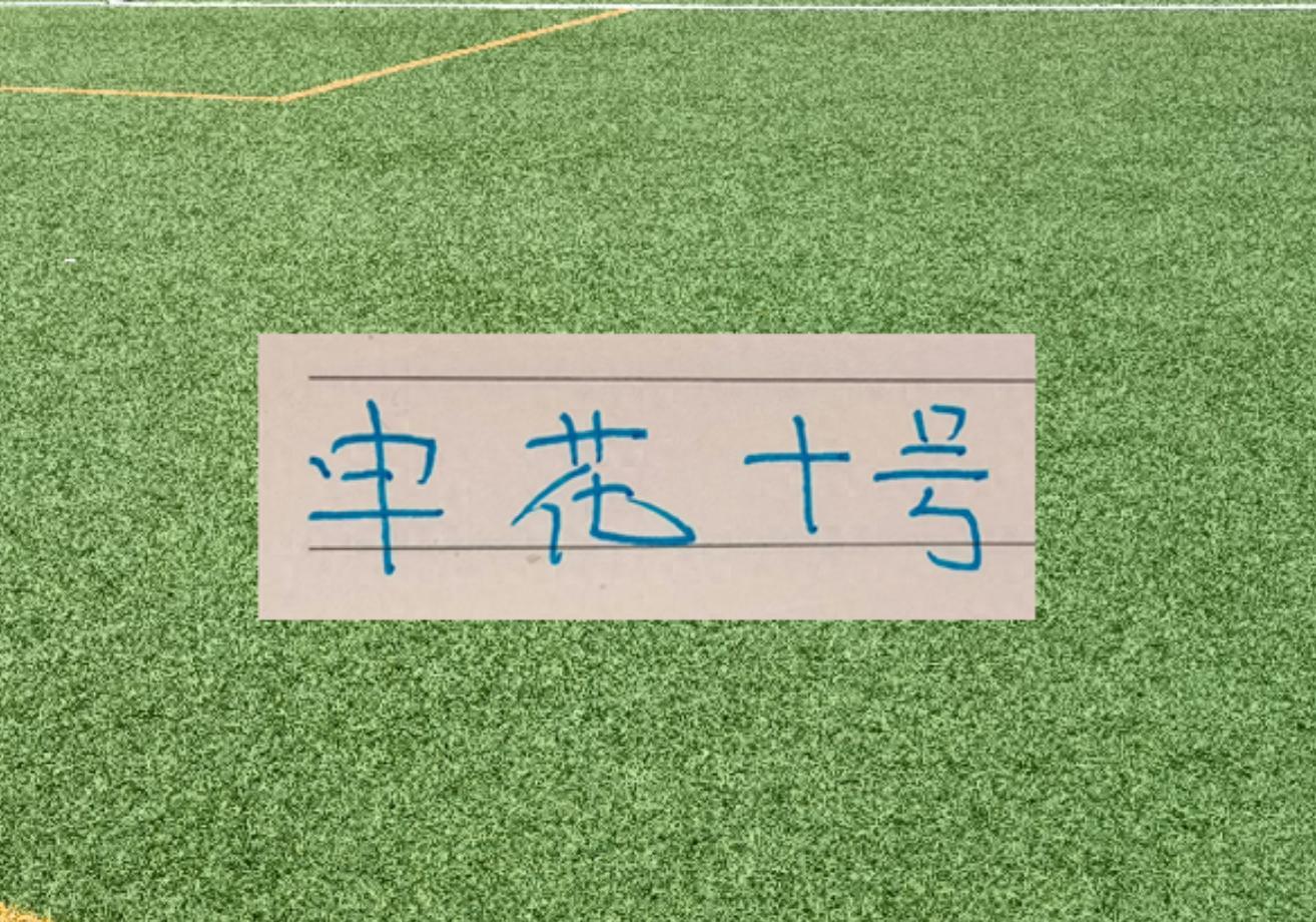 球探-谢天谢地谢鹏飞！拉唐要敲木鱼了 今年代表申花有2黄1红了